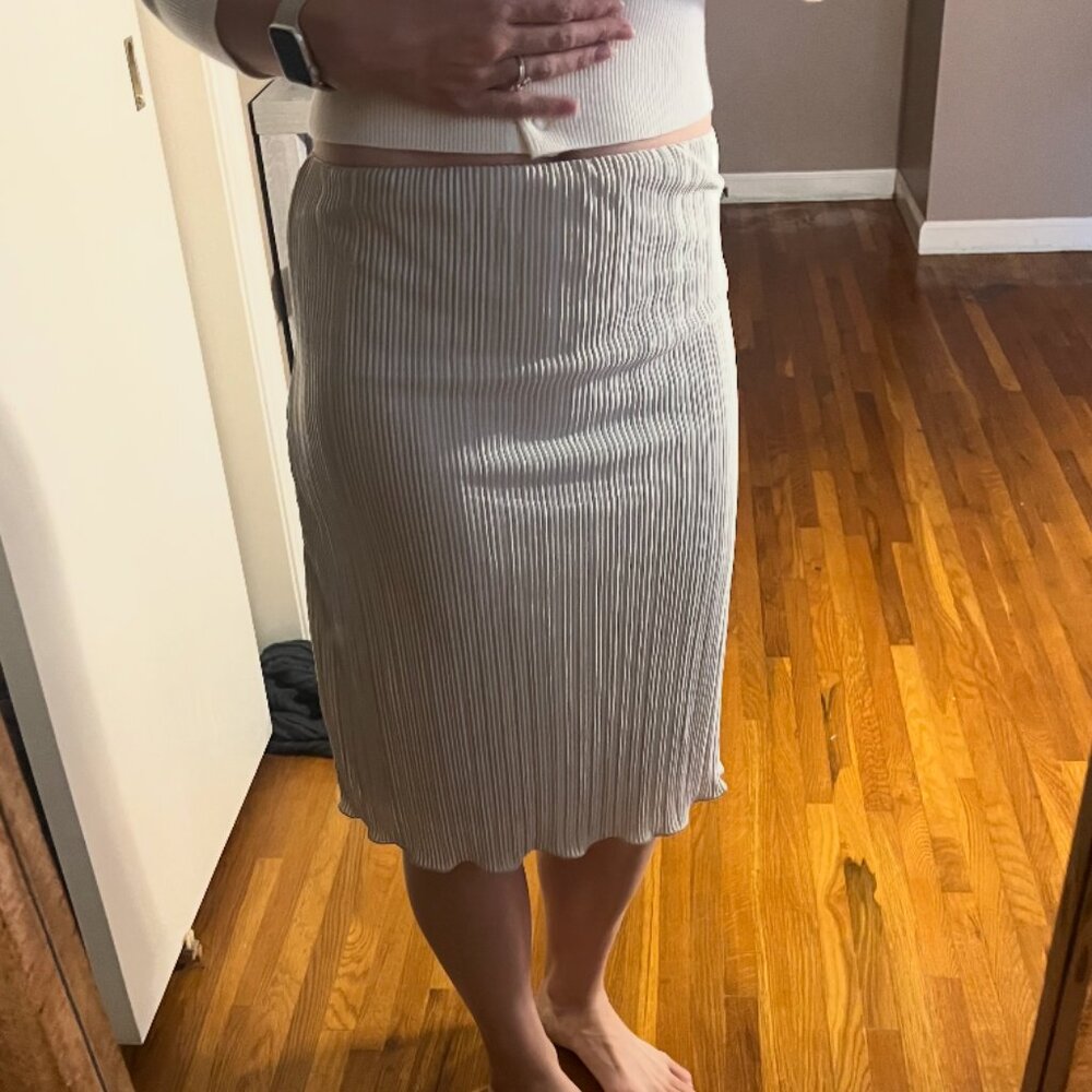 Gold Shimmery Skirt